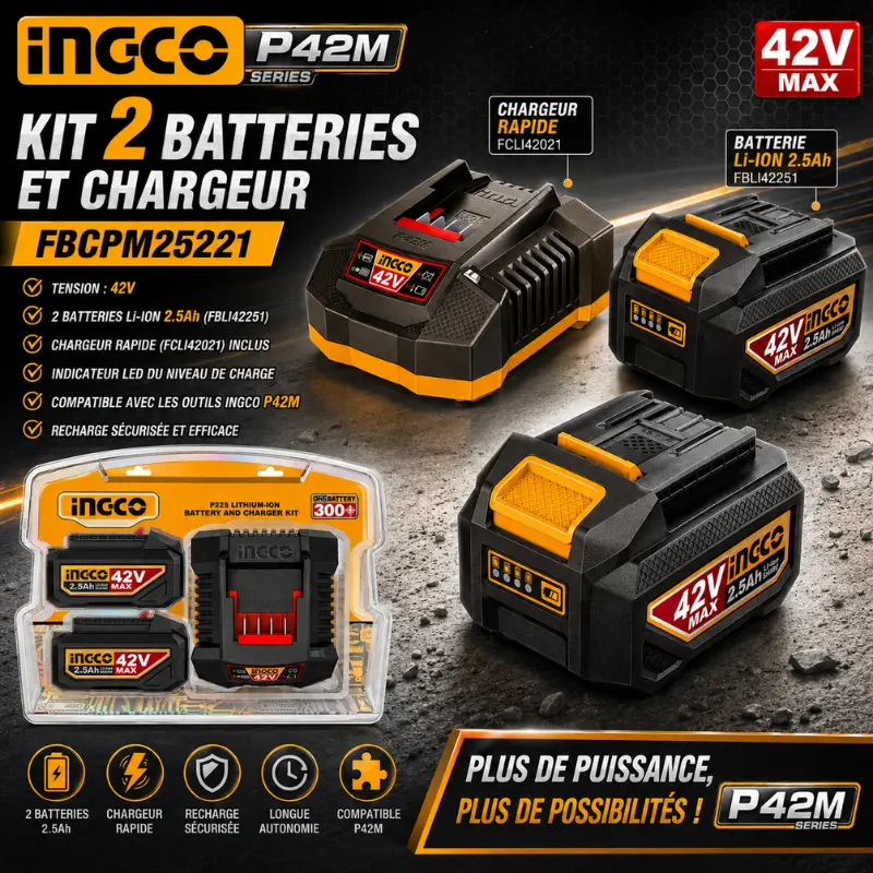 KIT 2 BATTERIES ET CHARGEUR INGCO 42V FBCPM25221